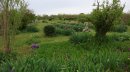 Beau jardin